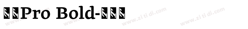 日产Pro Bold字体转换